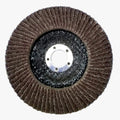 Flap Disc (100mm)