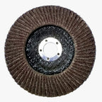 Flap Disc (100mm)