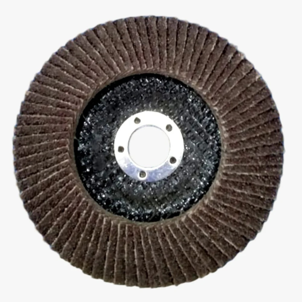 Flap Disc (100mm)